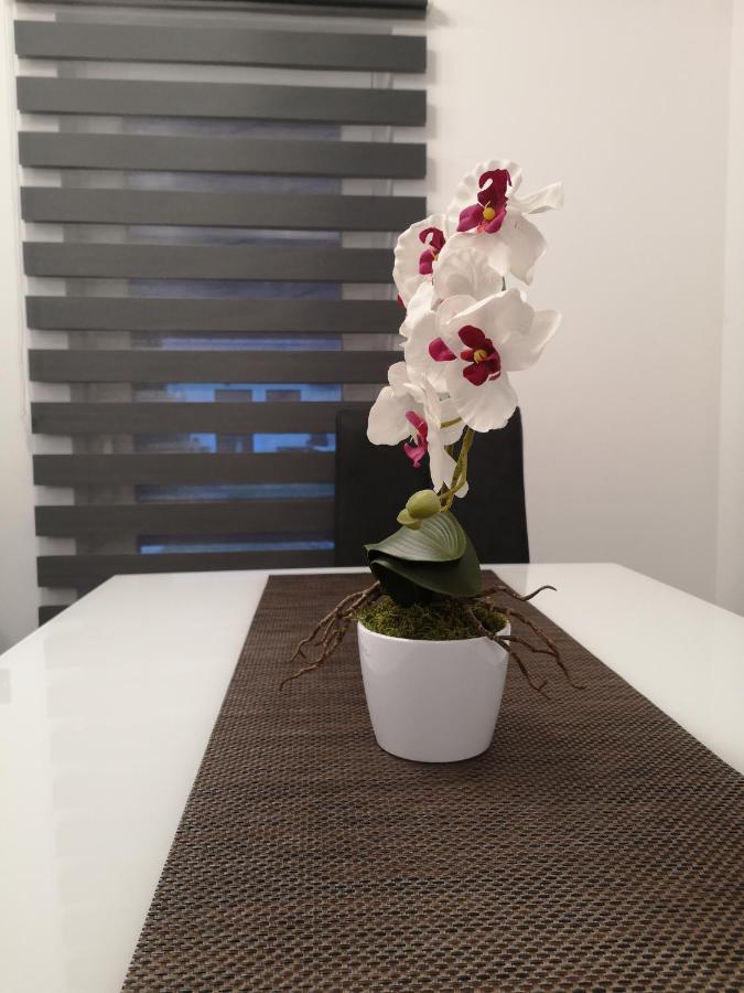 APP Mateo 6168 Apartment Catez ob Savi Exterior foto